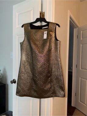 Abercrombie & Fitch Gold Dress